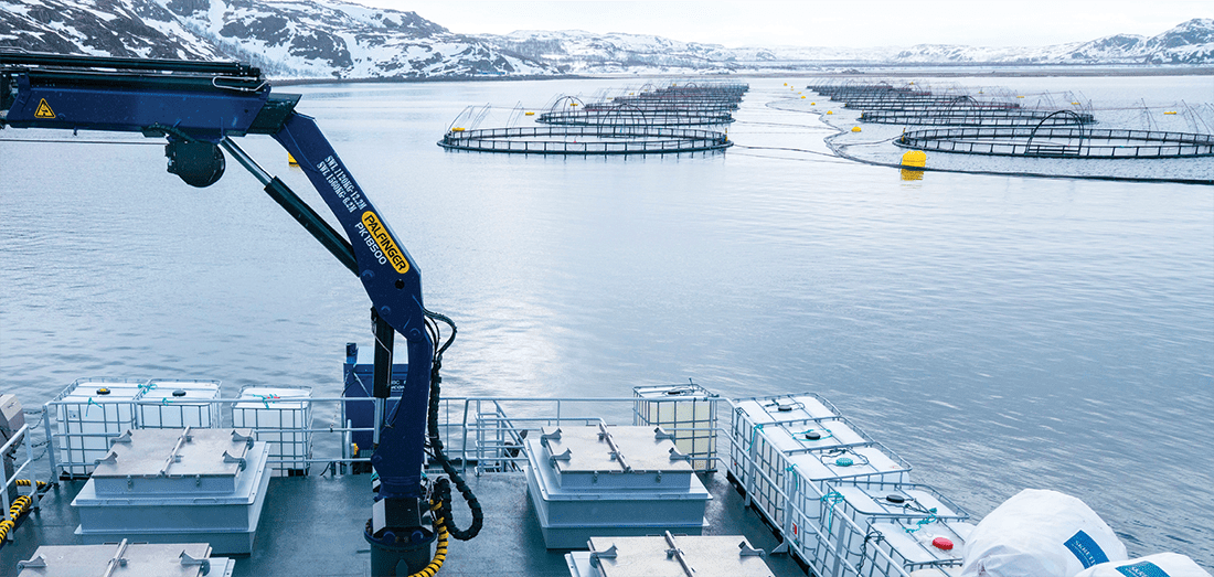 Состав Совета директоров