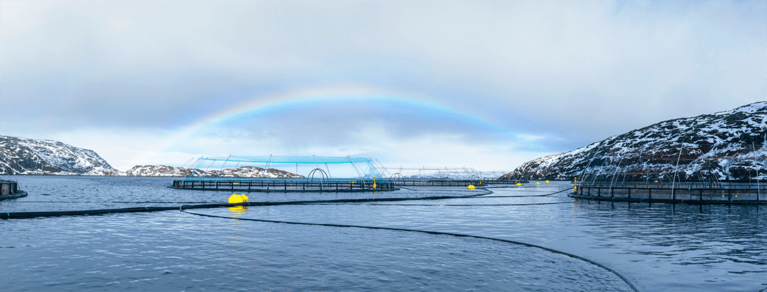 Комитеты Совета директоров