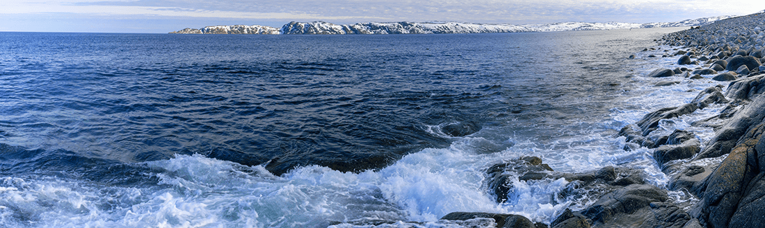 Комитет по стратегии Совета директоров