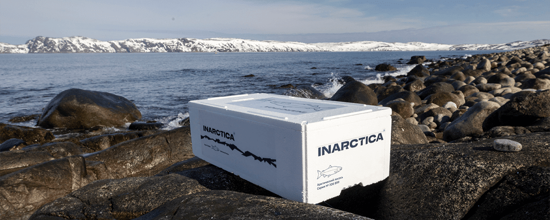 Независимые аудиторы